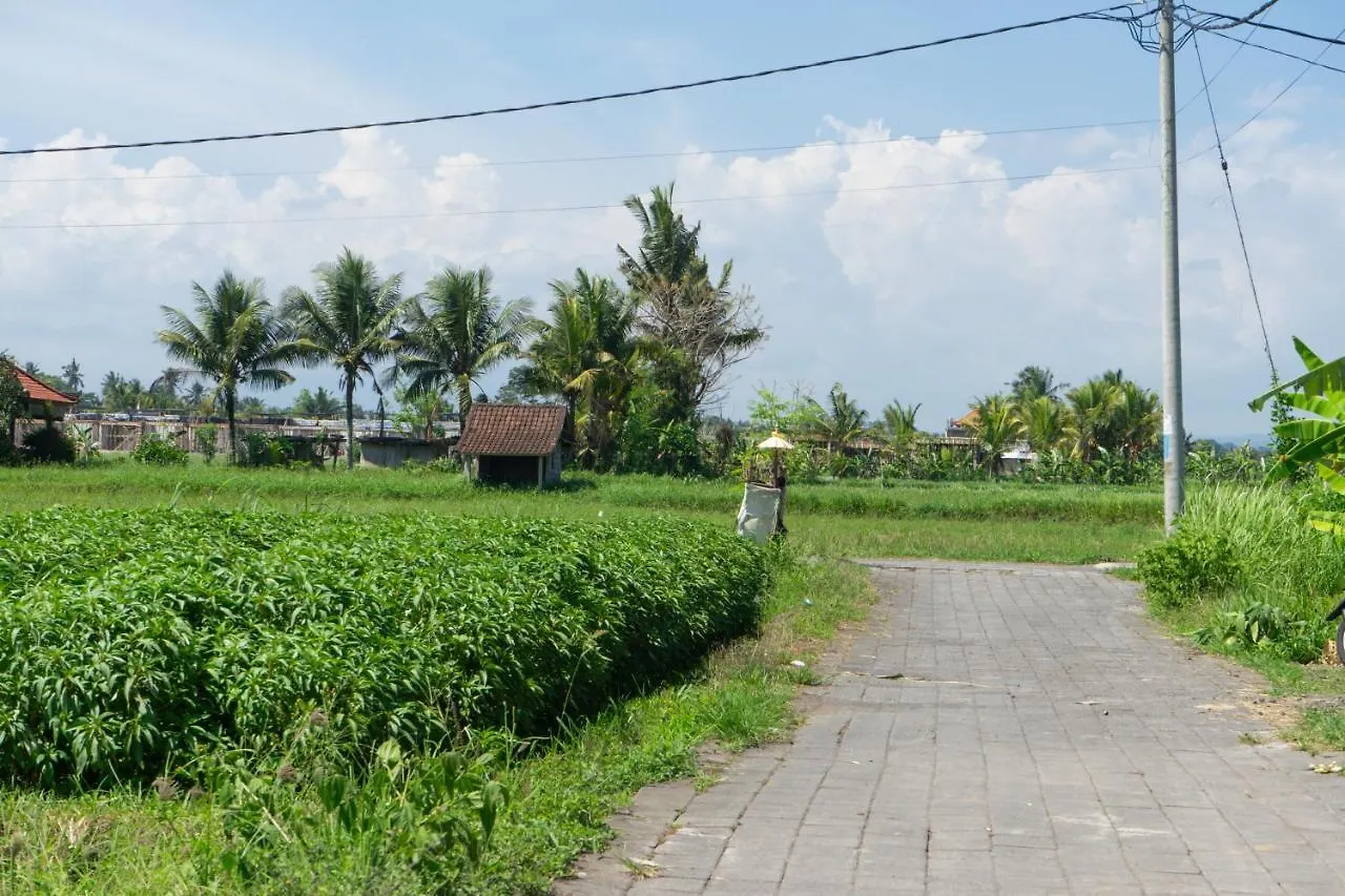 Krisna Tapan Guest House Ubud