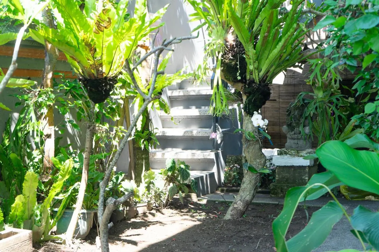 Krisna Tapan Guest House Ubud  Indonesia