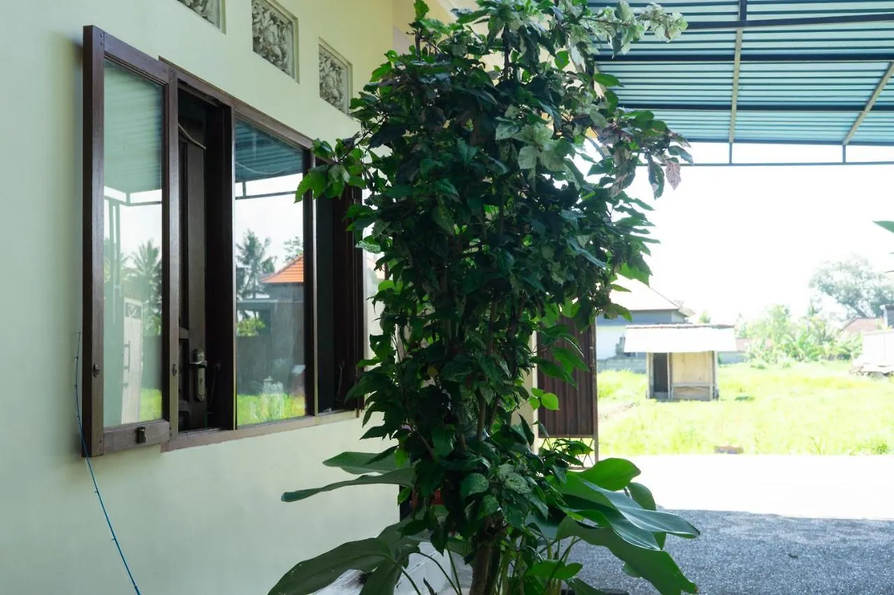 Krisna Tapan Guest House Ubud  Indonesia