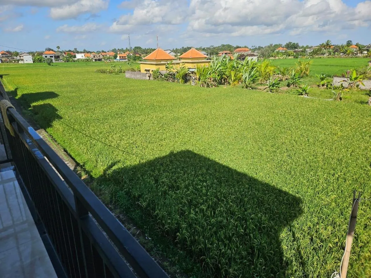 Krisna Tapan Guest House Ubud